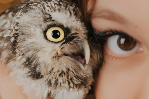 PlayFortuna Casino Tacaíocht